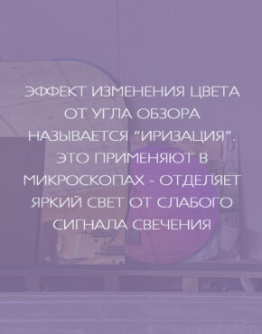 Зеркало круглое хамелеон